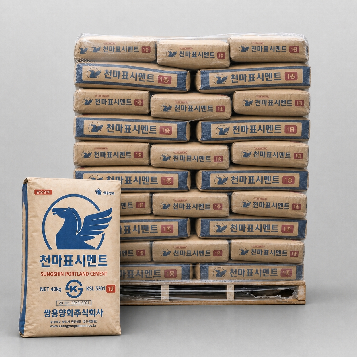 일반시멘트